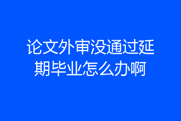 论文外审没通过延期毕业怎么办啊