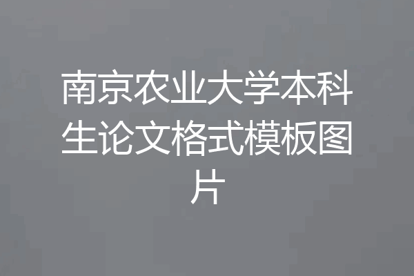 南京农业大学本科生论文格式模板图片