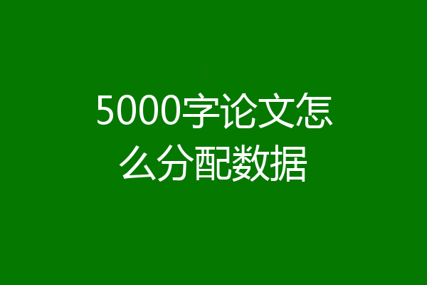5000字论文怎么分配数据