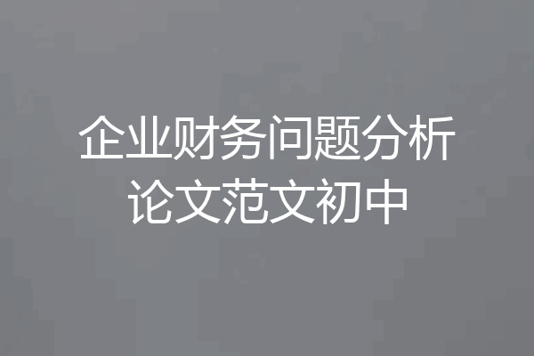 企业财务问题分析论文范文初中