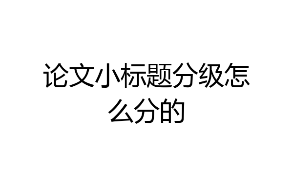 论文小标题分级怎么分的
