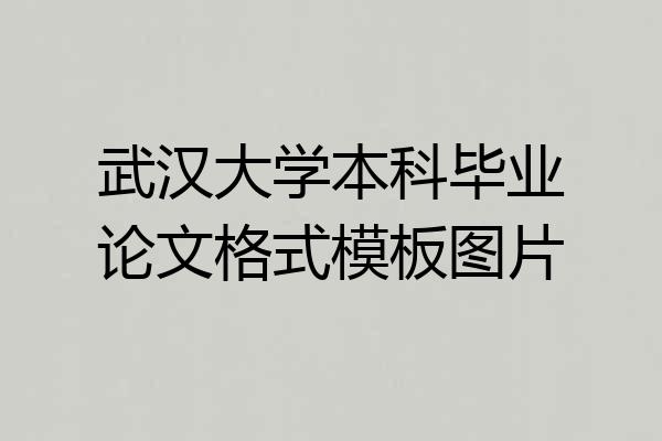 武汉大学本科毕业论文格式模板图片