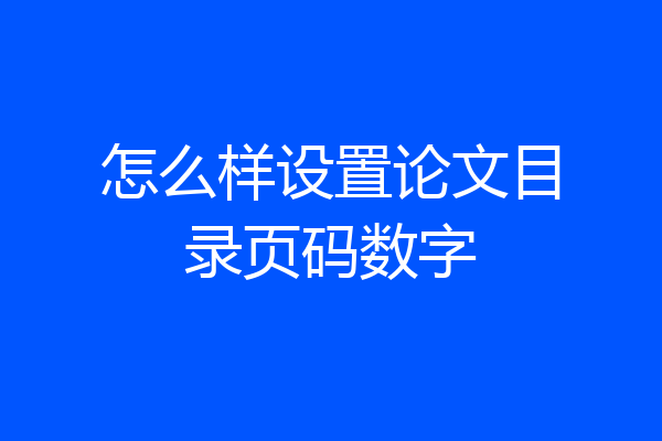 怎么样设置论文目录页码数字