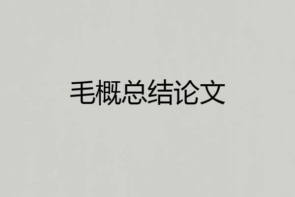 毛概总结论文