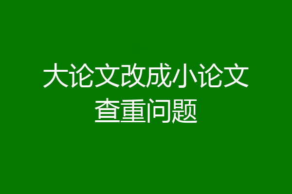 大论文改成小论文查重问题