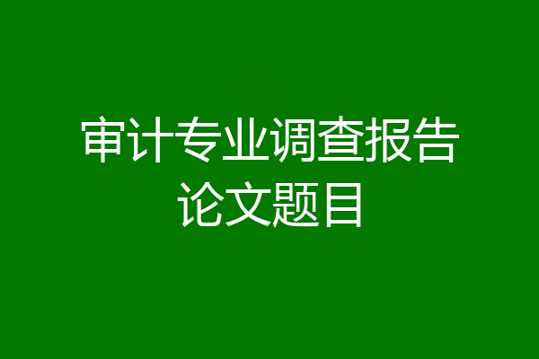 审计专业调查报告论文题目