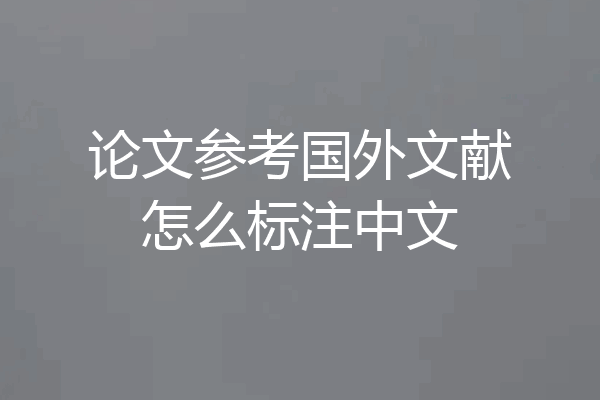 论文参考国外文献怎么标注中文