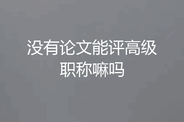 没有论文能评高级职称嘛吗
