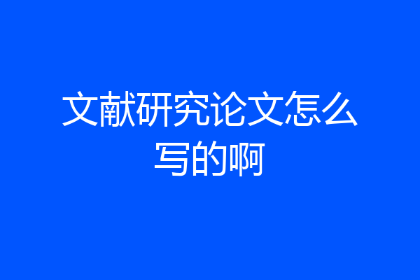 文献研究论文怎么写的啊
