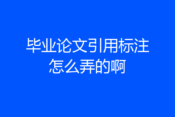 毕业论文引用标注怎么弄的啊