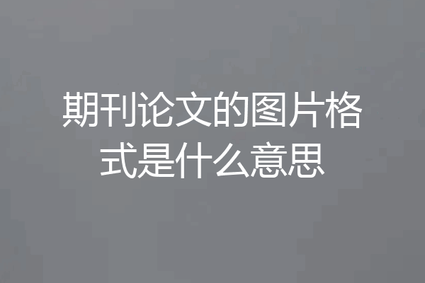 期刊论文的图片格式是什么意思