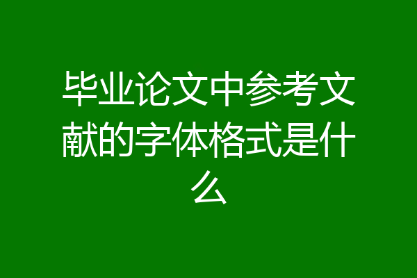 毕业论文中参考文献的字体格式是什么