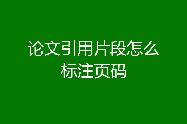 论文引用片段怎么标注页码