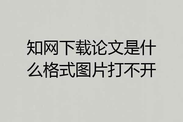 知网下载论文是什么格式图片打不开