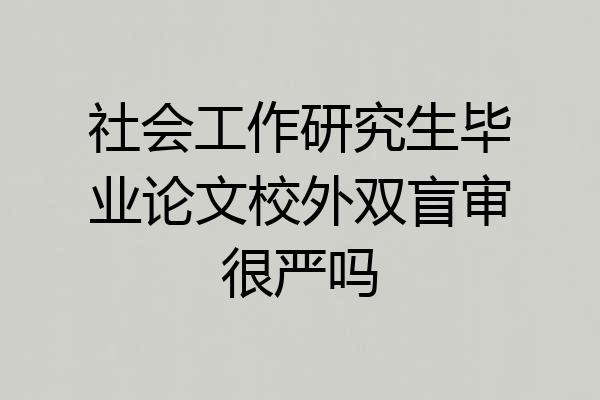 社会工作研究生毕业论文校外双盲审很严吗
