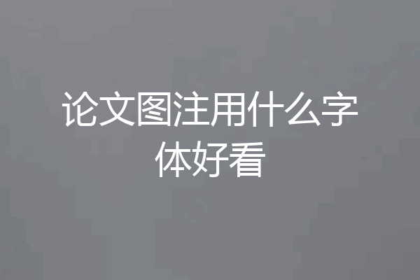 论文图注用什么字体好看