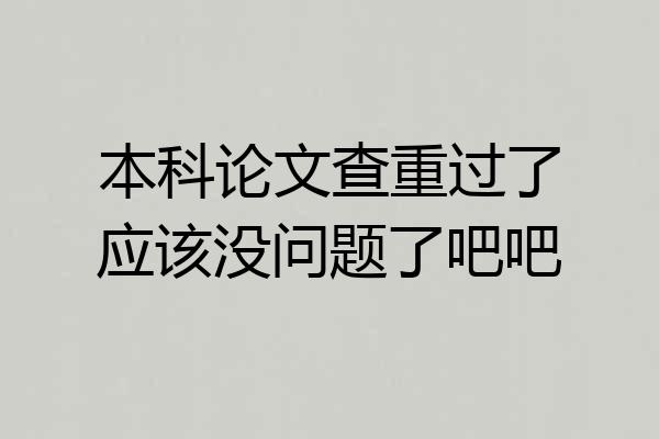 本科论文查重过了应该没问题了吧吧