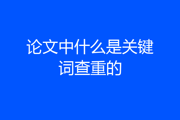 论文中什么是关键词查重的