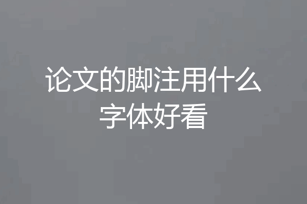 论文的脚注用什么字体好看
