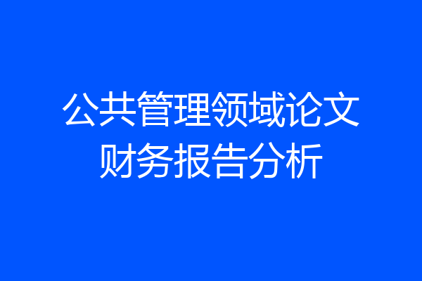 公共管理领域论文财务报告分析