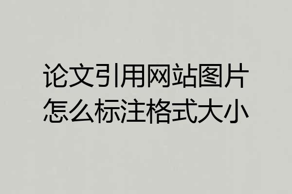 论文引用网站图片怎么标注格式大小