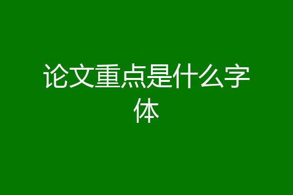 论文重点是什么字体