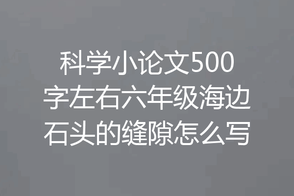 科学小论文500字左右六年级海边石头的缝隙怎么写