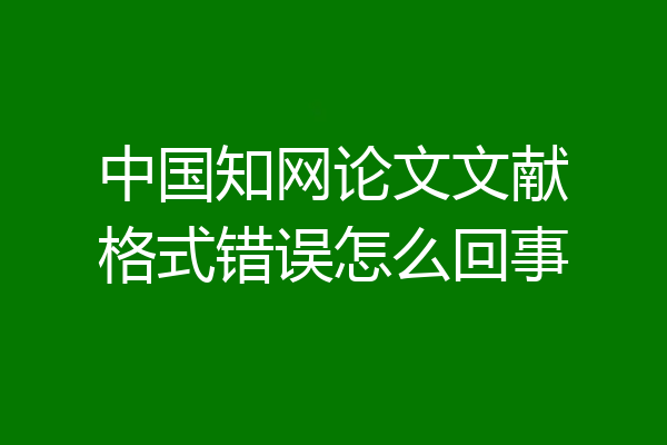 中国知网论文文献格式错误怎么回事