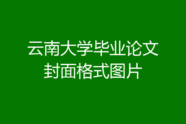 云南大学毕业论文封面格式图片
