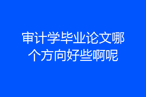 审计学毕业论文哪个方向好些啊呢