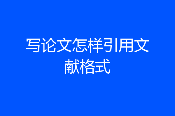 写论文怎样引用文献格式