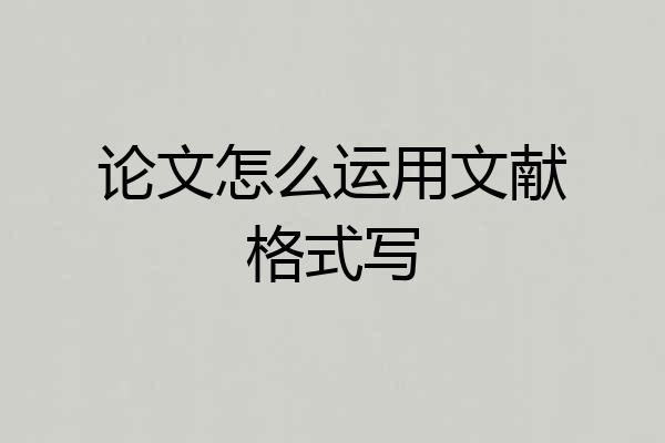 论文怎么运用文献格式写