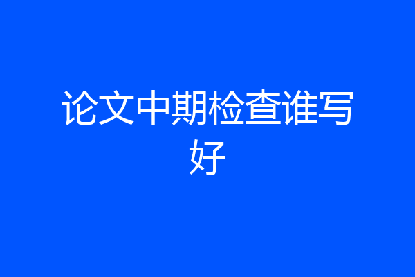 论文中期检查谁写好