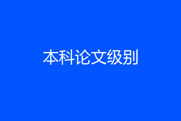 本科论文级别