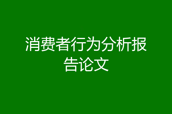 消费者行为分析报告论文