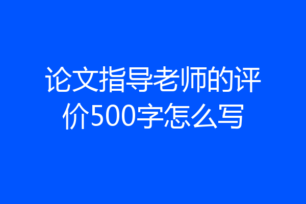 论文指导老师的评价500字怎么写