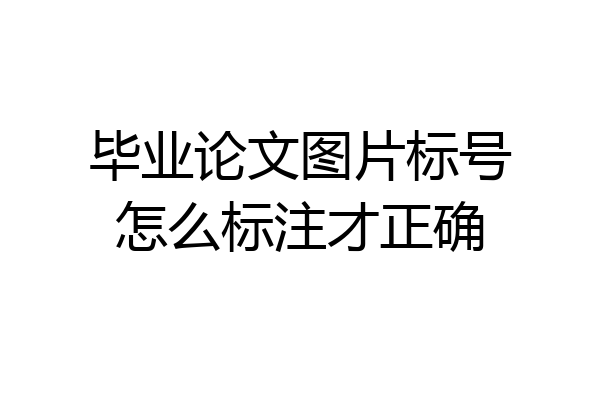 毕业论文图片标号怎么标注才正确