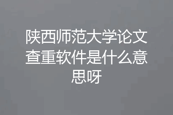 陕西师范大学论文查重软件是什么意思呀