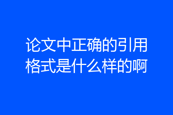 论文中正确的引用格式是什么样的啊