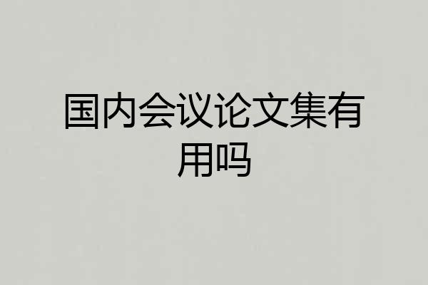 国内会议论文集有用吗