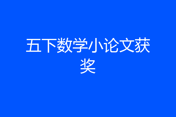 五下数学小论文获奖