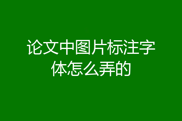 论文中图片标注字体怎么弄的