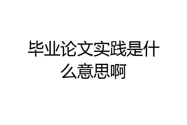 毕业论文实践是什么意思啊
