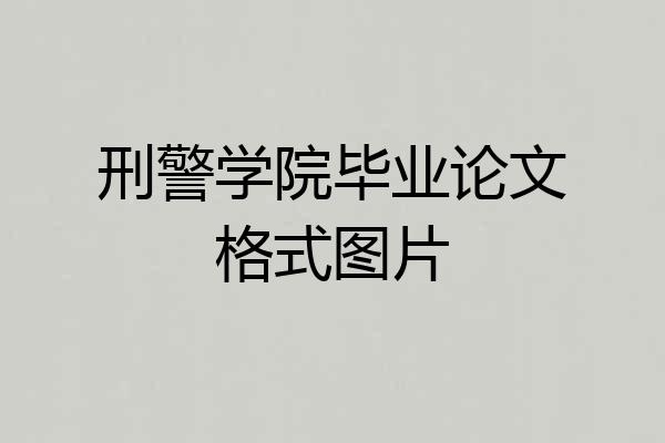 刑警学院毕业论文格式图片