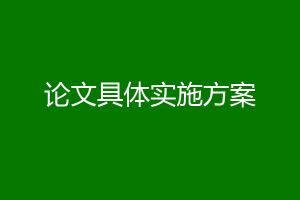 论文具体实施方案