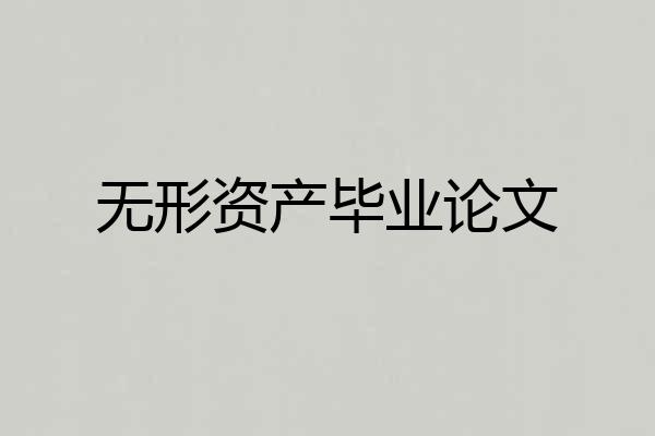 无形资产毕业论文