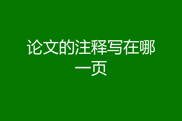 论文的注释写在哪一页