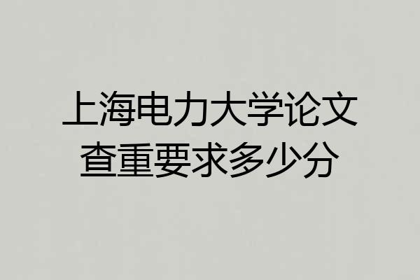 上海电力大学论文查重要求多少分