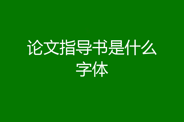论文指导书是什么字体