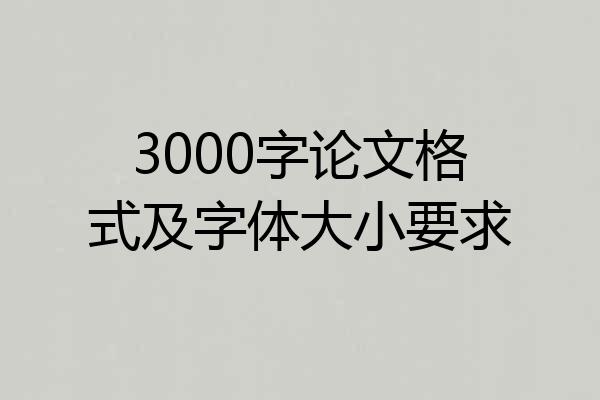3000字论文格式及字体大小要求